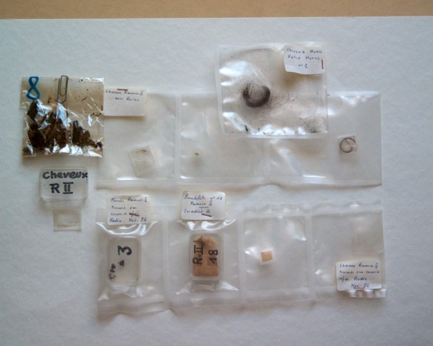 "Rams&egrave;s II : les m&egrave;ches du pharaon" - Vente sur internet (2006)