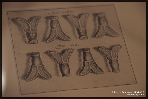 L&rsquo;ann&eacute;e 2011 marque le 1500&egrave;me anniversaire de la mort de Clovis, roi des Francs. La Cit&eacute; des Cinq Clochers ne pouvait demeurer en marge de cet &eacute;v&egrave;nement. A cette occasion, le Mus&eacute;e d'Arch&eacute;ologie organise une exposition consacr&eacute;e &agrave; Child&eacute;ric, roi des Francs et p&egrave;re de Clovis, mort en 481.