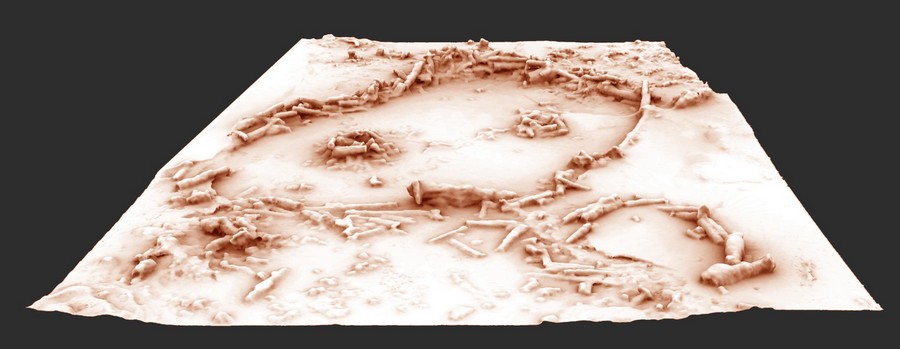 Restitution 3D des structures de la grotte de Bruniquel. (Image: Xavier MUTH - Get in Situ, Archéotransfert, Archéovision -SHS-3D, Pascal Mora)