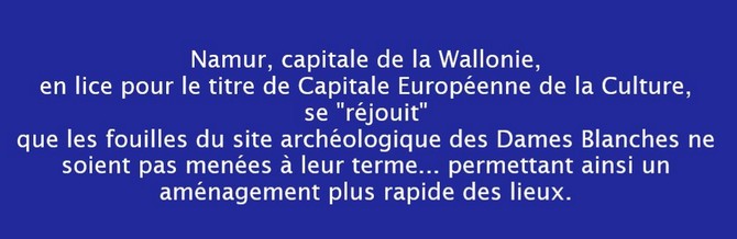 Communiqu&eacute; de soutien aux arch&eacute;ologues face au pillage et &agrave; la destruction du site arch&eacute;ologique carolingien d'Herstal (Communaut&eacute; Historia, 6 f&eacute;vrier 2025)